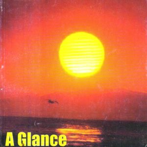 A Glance at the Beloved