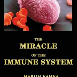 The Miracle in the Immune System