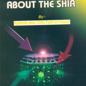 Spurious Arguments About the SHIA