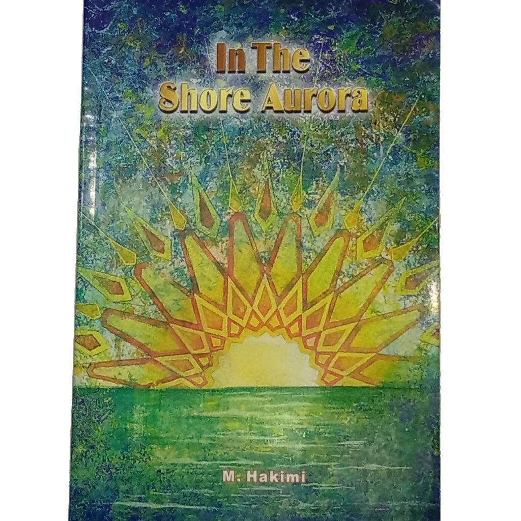 In the Shore Aurora